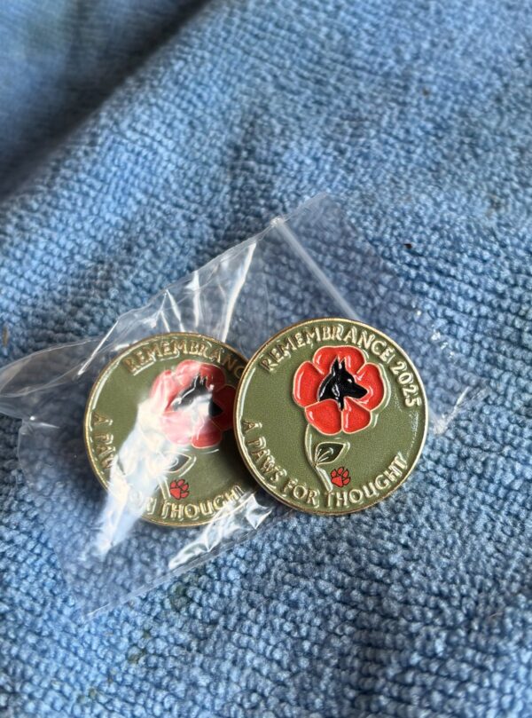 Remembrance 2025 Limited Edition Pin - Image 2