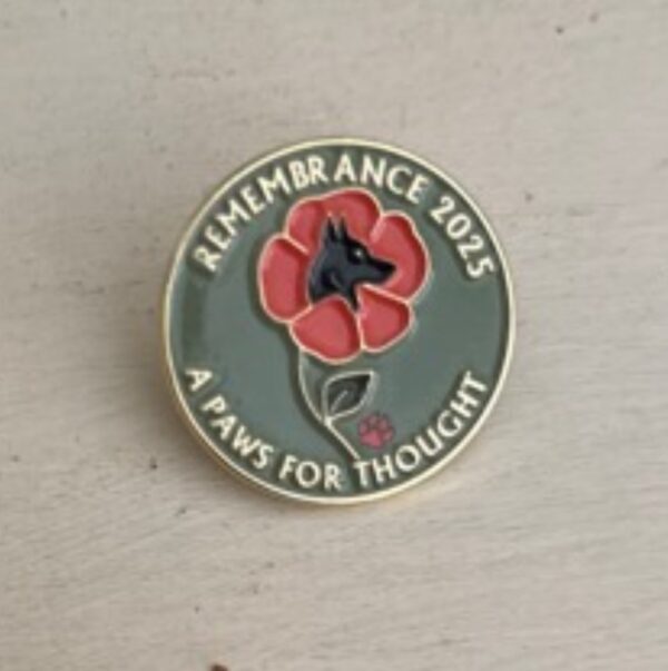 Remembrance 2025 Limited Edition Pin