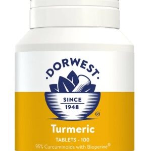 Dorwest Turmeric Tablets - 100