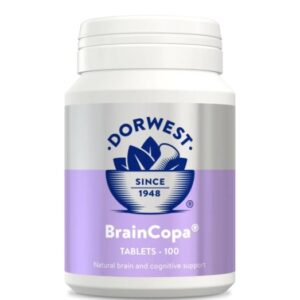 Dorwest BrainCopa Tablets - 100