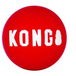 KONG Signature Ball MEDIUM