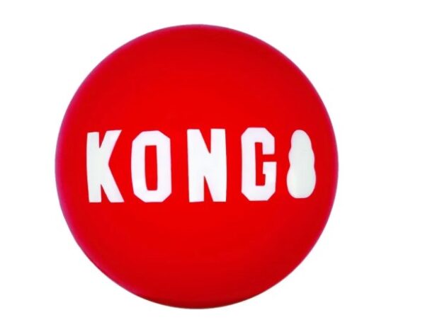 KONG Signature Ball MEDIUM