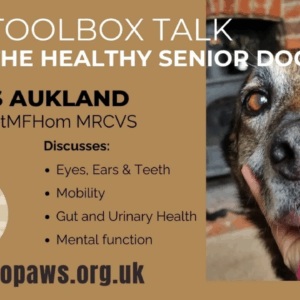 The Healthy Senior Dog - RECORDING