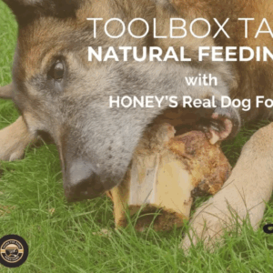 Natural Feeding RECORDING