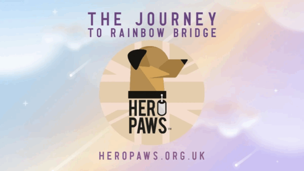 Rainbow Bridge - RECORDING