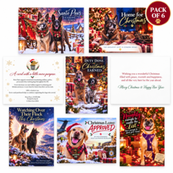 adults cards set