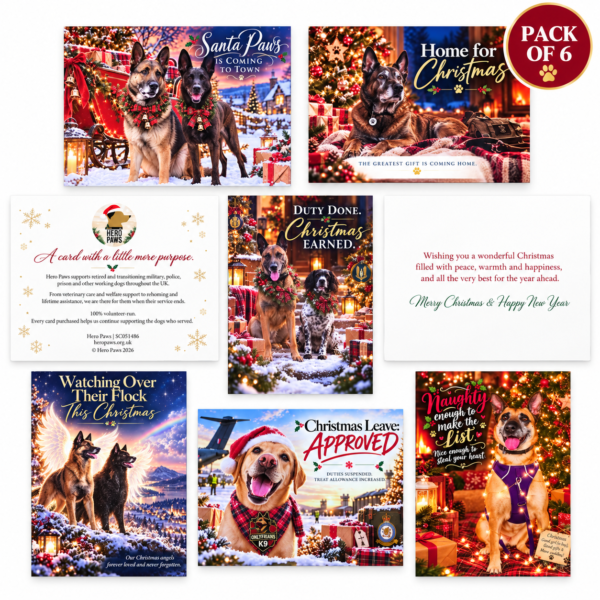 Hero Paws Christmas Card Pack plus 6 pack a5