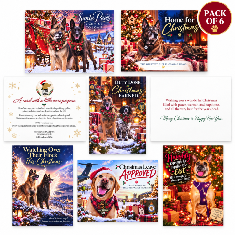 adults cards set adults cards set