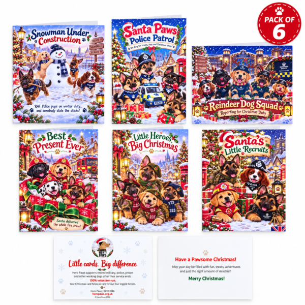Hero Paws Christmas Card Pack – Kids Collection